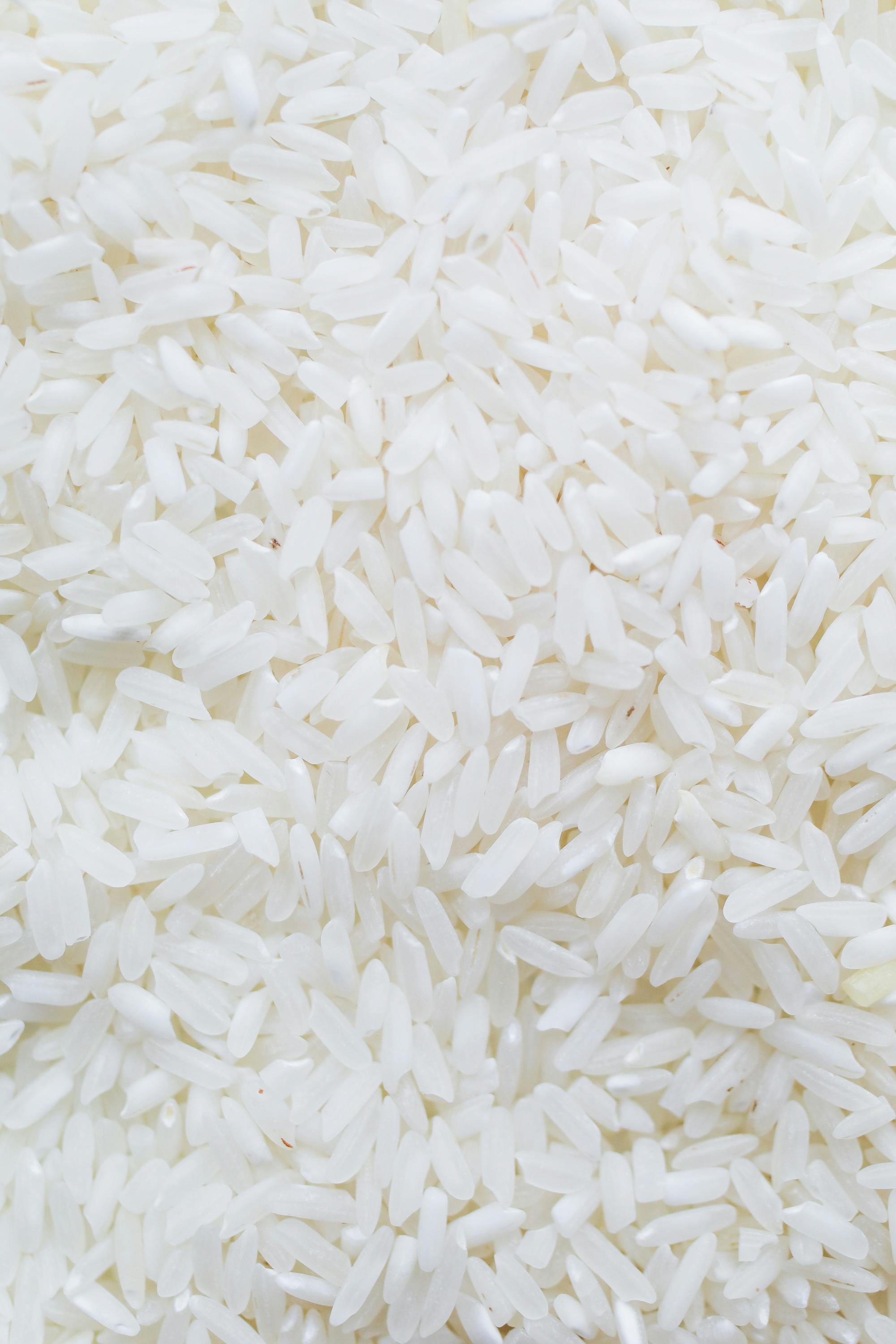 Riz Gambiaka de Mopti (Lot de 20 sacs de 50kg)