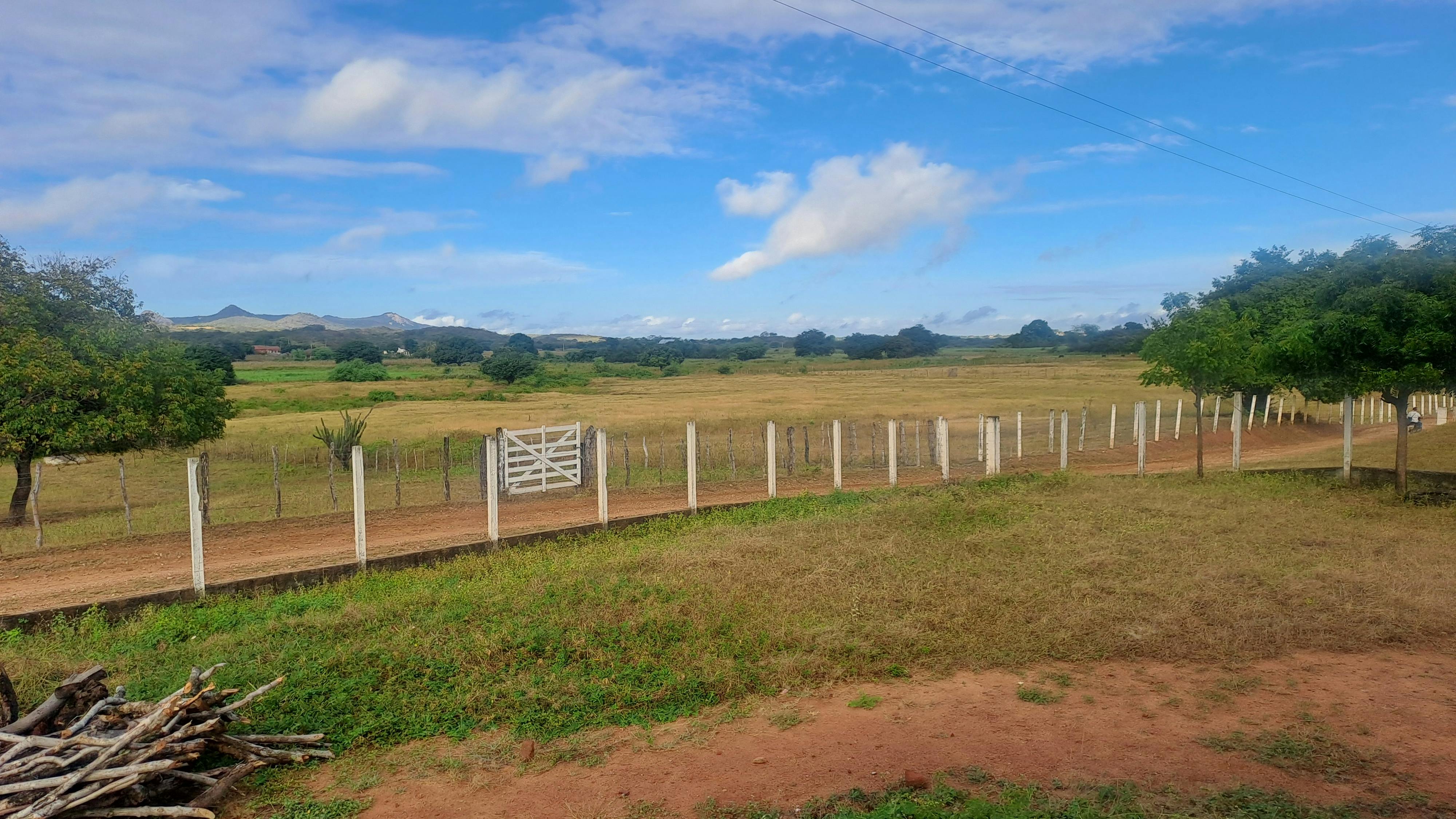 Parcelle agricole irriguée à Baguinéda (1 Hectare)